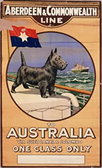 Canal Collection: Poster for Aberdeen & Commonwealth Line to Australia