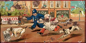 Chasing Collection: Poster advertising Melox dog food
