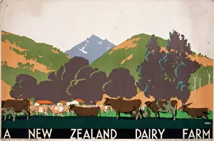 Frank Gallery: Poster advertising a New Zealand Dairy Farm