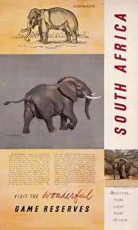 Reserves Prints: Poster advertising South African game reserves