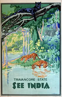 Tiger Gallery: Poster advertising Travancore State, India
