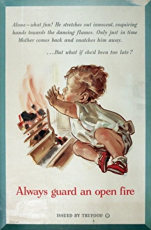 Images Dated 16th February 2015: Poster advertising Trufood