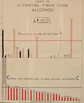 Allotment Collection: Poster, Chart III, vitamins from your allotment, WW2