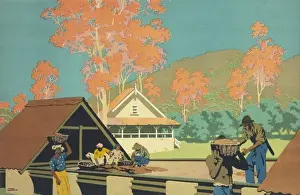 Cocoa Prints: Poster depicting a cocoa estate in Trinidad
