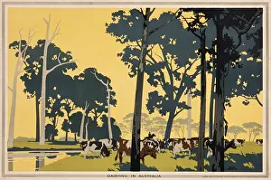 Poster depicting Dairying in Australia