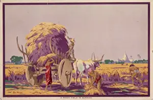 Poster depicting a paddy field in Burma