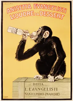 Images Dated 27th February 2013: Poster design, Anisetta Evangelisti