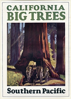 Poster design for Southern Pacific travel