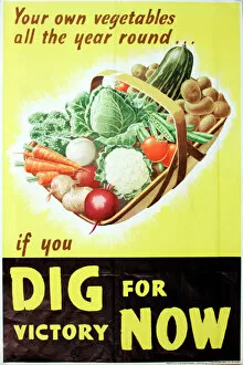 Ww 2 Collection: Poster: Dig For Victory Now