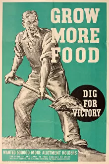 Images Dated 19th June 2018: Poster, Dig for Victory, Grow More Food, WW2