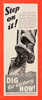 Images Dated 19th June 2018: Poster, Dig for Victory, WW2