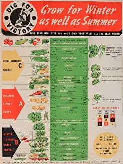 Poster, Dig for Victory, WW2