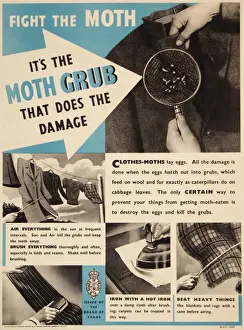 Prevention Prints: Poster: Fight the Moth