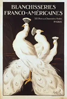 Achille Prints: Poster of the French-American Laundries, by Leonetto