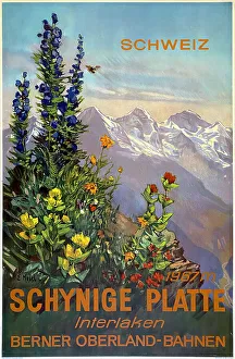 Interlaken Prints: Poster, Interlaken, Berne, Switzerland