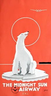 Bear Collection: Poster, The Midnight Sun Airway, DNL