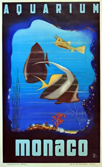 Images Dated 24th April 2014: Poster, Monaco Aquarium