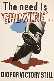 Images Dated 22nd December 2017: Poster, The need is growing, Dig for Victory still, WW2
