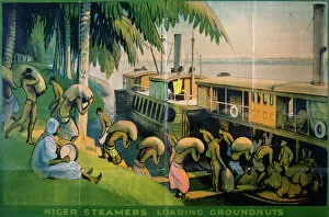 Steamers Collection: Poster of Niger steamers loading groundnuts