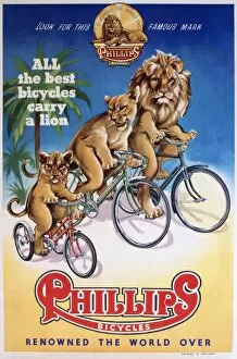 Poster, Phillips Bicycles
