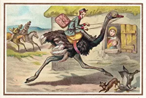 Images Dated 10th July 2018: Postman riding on an ostrich on a Christmas card