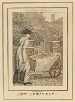 Potato Trader