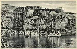 Images Dated 11th November 2011: Pouch Cove, Newfoundland - Fishing Stages