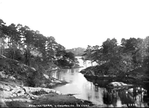 Glengarriff Prints: Poul-Na-Gorm, Glengarriff, Co. Cork