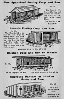 Poultry coops