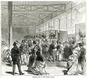 Cages Prints: Poultry show at the Crystal Palace 1870