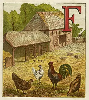 Farm Yard Prints: Poultry in Farmyard 1867