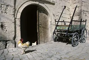 Stonework Prints: Poultry and old horse cart outside stone farm barn, Uchisar