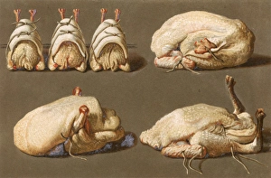 Roast Gallery: Poultry Ready to Cook