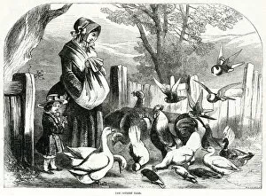 Feeds Collection: Poultry Yard 1856