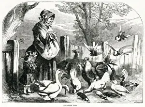 Hens Prints: Poultry Yard 1856