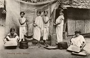 Malabar Collection: Pounding rice - Malabar region of Southern India