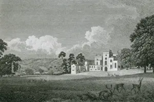 Powderham Castle, Devon