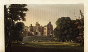 Motte Collection: Powderham Castle, seat of Lord Viscount William Courtenay