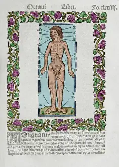 Practica Compendiosa Artis Raymundi Lulli, book eighth, 1523