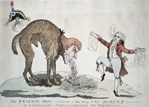 The prairie dog sickened at the sting of the hornet or a dip