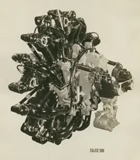 Radial Prints: Pratt & Whitney R-1340 Wasp radial, rear quarter