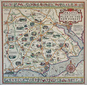 Pratts Prints: Pratt's High Test Plan of the New Forest
