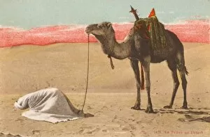 Images Dated 5th January 2011: Praying in the Desert