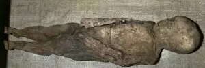 Precolumbian Collection: Pre-Columbian art. Pre-Inca mummy (65 x 18 cm)