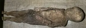 Pre Columbian Prints: Pre-Columbian art. Pre-Inca mummy (65 x 18 cm)