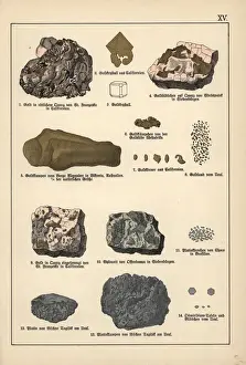 Mineralogy Prints: Precious metals including gold, platinum and osmiridium
