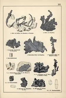 Gotthilfheinrichvonschubert Prints: Precious metals including silver, argentite and pyrargyrite