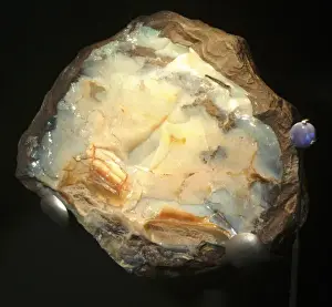 Mineraloid Prints: Precious opal in ironside nodule