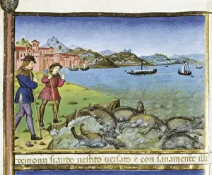 DE PREDIS, Cristoforo (1440-1486). Stories of