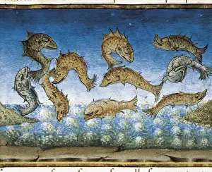 DE PREDIS, Cristoforo (1440-1486). Stories of
